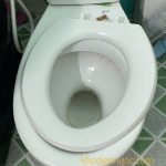 thay nắp bồn cầu