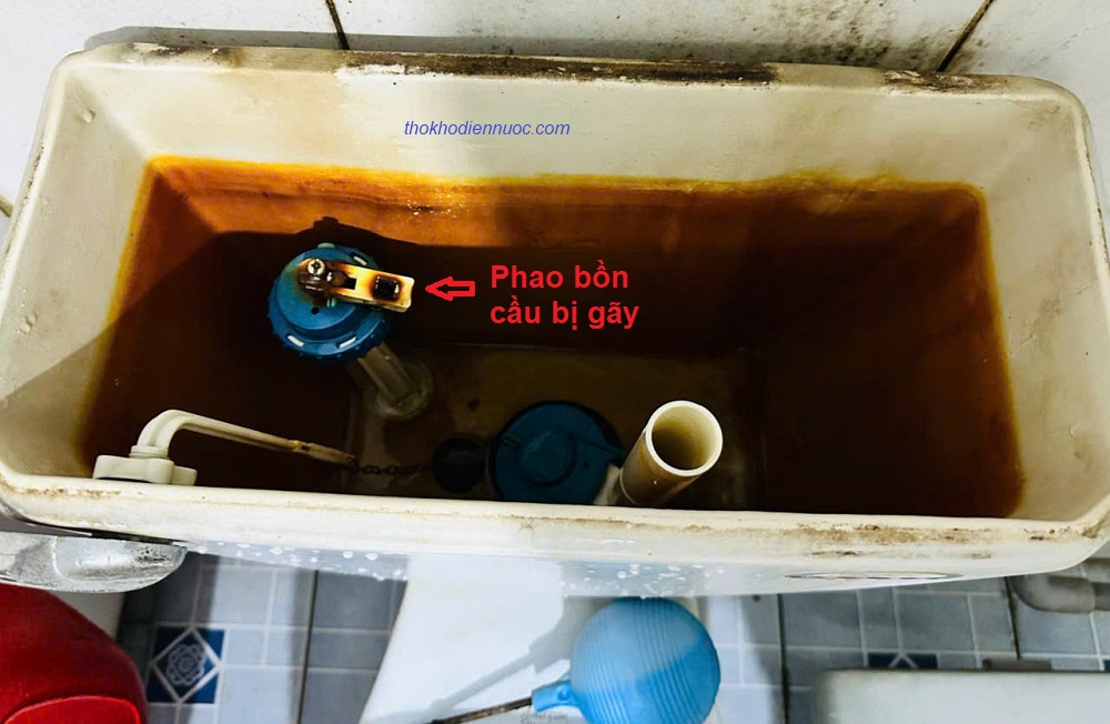 Phao bồn cầu bị gẫy